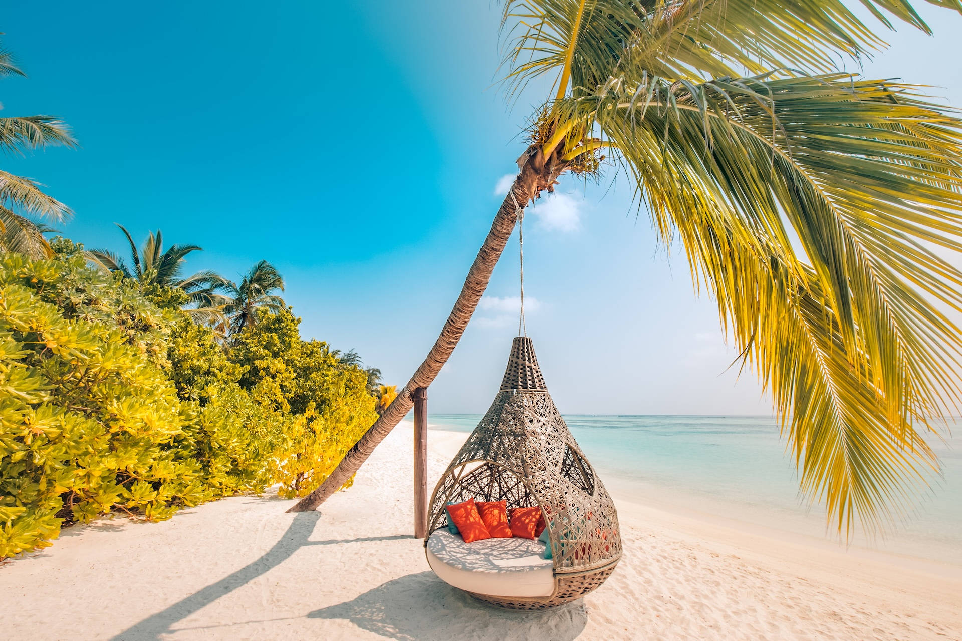 Hotel marketing of luxury Maldives resort with hammock hanging from palm tree on gorgeous beach
